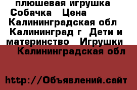 плюшевая игрушка - Собачка › Цена ­ 1 000 - Калининградская обл., Калининград г. Дети и материнство » Игрушки   . Калининградская обл.